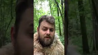 Лес