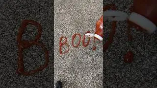 KETCHUP ALL OVER MY NEW CARPET🤯 #satisfyingvideo #cleaning #ketchup