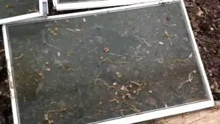 Screen Cover Keeps Seeds out of Compost