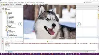 JavaFx Image Slider and  View-pager