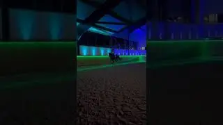Неоновая тренировка #shorts #horse #sports