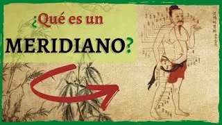 ☯ ¿Qué son los MERIDIANOS de ACUPUNTURA? ☯ | Canales Energéticos de Medicina Tradicional China 😁