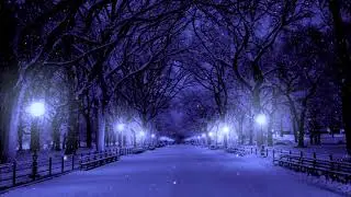 Winter Nights