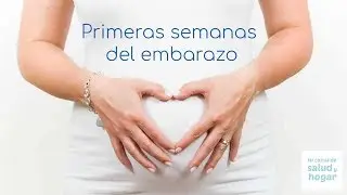 Primeras semanas del embarazo