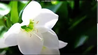 Снимают деньги при различных операциях !