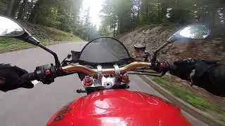 Rakitna - Cerknica twisties