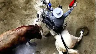 21.  Смешно и не очень