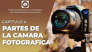 CAP 4: Qué TIPO DE CAMARA tienes [CURSO GRATIS DE FOTOGRAFIA]