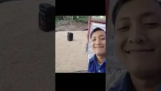 solusi usir ayam