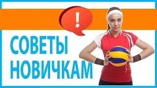 How to Play Volleyball Properly (Tips for Beginners)