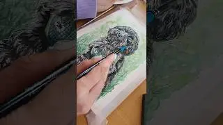 Mini Aquarell Hundeporträt 🥰🐕#watercolor #dogart #aquarell