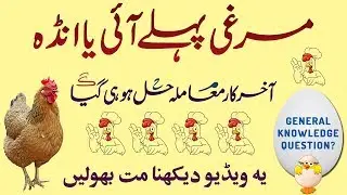 Murgi Pehle Aayi Ya Anda?