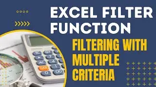Filtering Data with Multiple Criteria using Excel Filter function