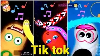 Kumpulan Vidio Cacing Viral Tik tok Terbaru 2020
