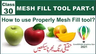 How to Use Properly Mesh Fill Tool in CorelDRAW Graphics Suit 2021 | Class-30 | Al Rafay Computers