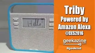 Triby: Unique Assistant Delivered with Amazon Alexa