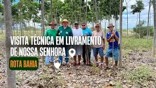 ROTA BAHIA - VISITA TÉCNICA EM LIVRAMENTO DE NOSSA SENHORA