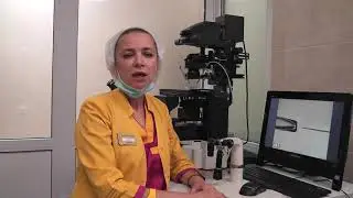 «Дети из пробирки»  Эмбриологические этапы программы ЭКО  Леонова Елена Юрьевна, заведующая эмбриоло