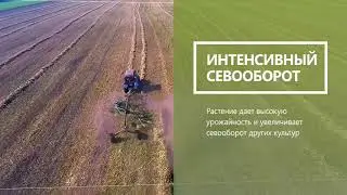 «Нижегородские волокна конопли». Презентационный ролик