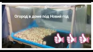 Огород в доме под Новий год.Серия 2)