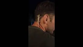 Нападение геккона. Геккон залез на голову и щекотал под одеждой