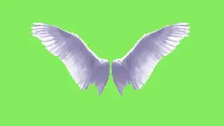 Green Screen Animation Angel - Animated Wings  (COPYRIGHT FREE) 