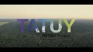 Projeto Tatuy REDD+ / Overview