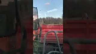 #2024 #сезон #farming #farm #agriculture #jaguar #сельскоехозяйство #камаз #силос #кукуруза