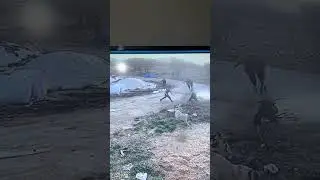 EĞLENCELI KOMİK KANGAL SALDIRISI