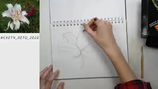 11. Рисуем вместе в прямом эфире | Скетч лето 2020!