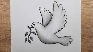 Kolay Kuş Nasıl Çizilir Adım Adım Öğretici Karakalem Çizimleri Nasıl Yapılır