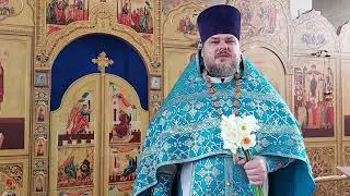 С праздником Благовещения Пресвятой Богородицы.​7 апреля 2023 года