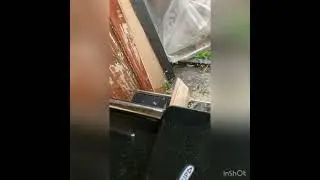 Рейсмусовый станок Энкор Корвет 21