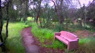 Amazing video footage from the Draganflyer X6 through the Trees