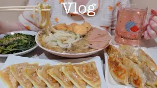 Vlog 🍲 Homebody Cooking Korean & Japanese Meals using Leftovers 🍜 Spicy Tofu Stew 🥟 Yakisoba Ramen