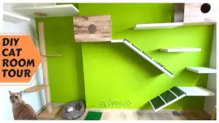 DIY Cat House Room Tour - Tips To Catify Your Home