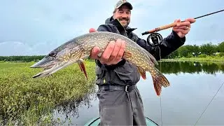 I Had to KILL Every One I Caught - WHAT?! (Fly Fishing)