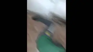 Голубойлар