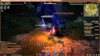 Black Desert Online OBT Korean : Beast Master vs Boss 39 lvl