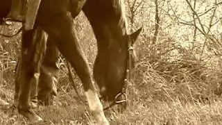Desperado - Sagebrush Crossing