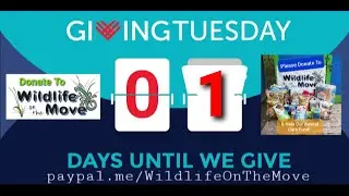 VIDEO   Giving Tuesday 1 Day To Go Promo