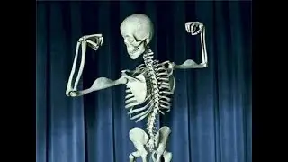 10 FACTS YOU DIDN'T KNOW ABOUT YOUR BODY.