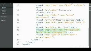 30  Label and input - Understanding file upload