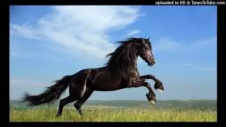 Lil Nas X - Old Town Road (Instrumental) Prod. Jor Dindi