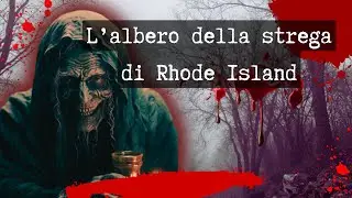 L’albero della strega di Rhode Island😈🖤 #horrorstories #dark #crime #misteri #horrorstory