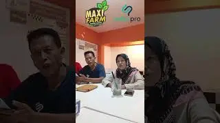 Maxifarm pada Padi di jatim