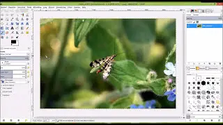 Een fletse foto eenvoudig meer kleur en contrast geven