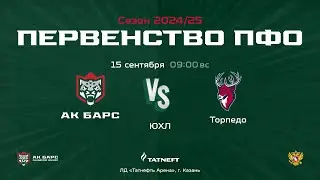 ХК Ак Барс (г. Казань) - ХК Торпедо (г. Нижний Новгород)