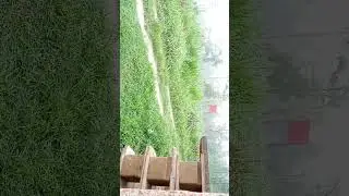 Solo Rain Camping & Thunderstorm | Rain Camping Uttarakhand  Unknown Dreamer | Rain