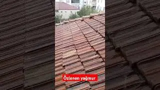 Özlenen yağmur